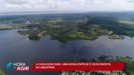 Imagem de A Floresta da Amazónia