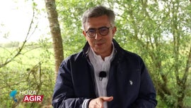 Imagem de A Importncia de Conservao dos Mangais