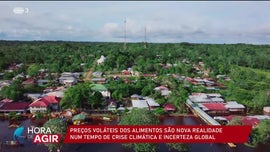 Imagem de A Sustentabilidade da Agricultura no Brasil