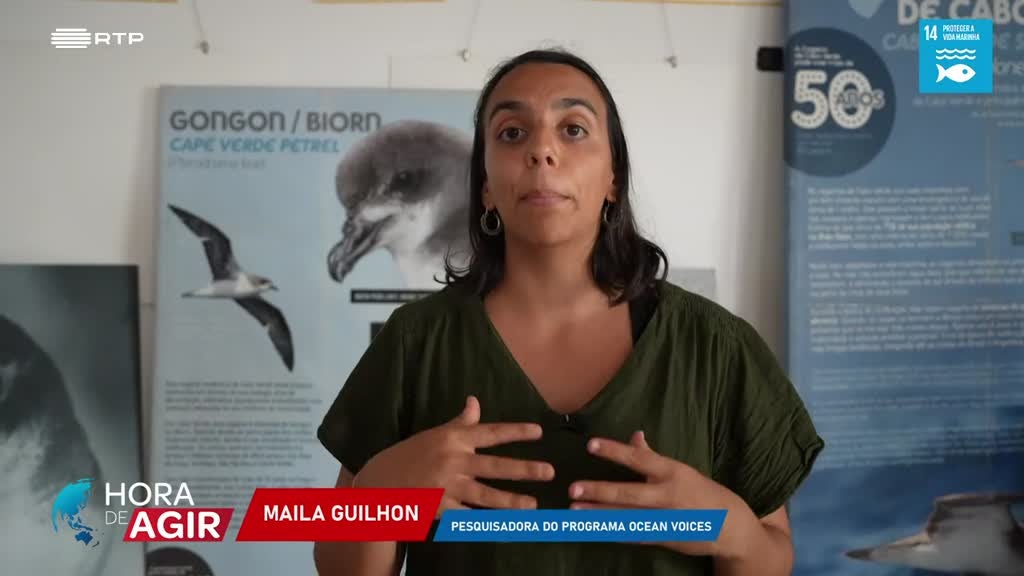 Imagem de Hora de Agir - O Oceano Que Une Cabo Verde