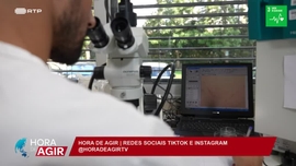 Imagem de O impacte do clima na sa�de p�blica e na nossa vida