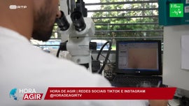 Imagem de Impacto do Clima na Sa�de P�blica e na Nossa Vida