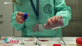 Imagem de O Combate Urgente ao Desperd�cio Alimentar