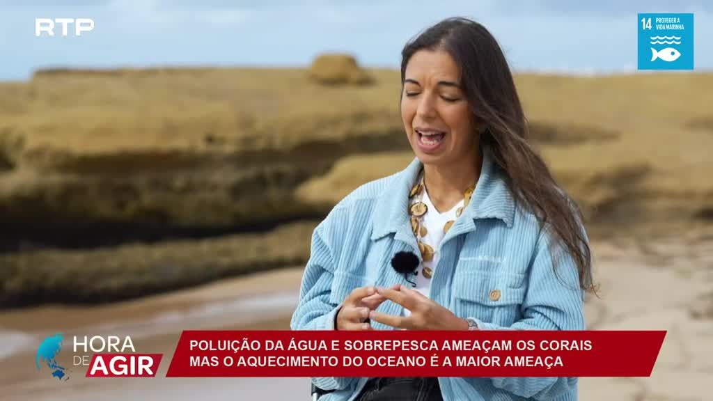 Imagem de Hora de Agir - A Preservação dos Oceanos e dos Recifes de Coral