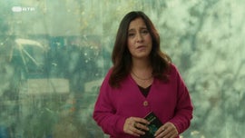 Imagem de Natureza Urbana - Joana Brtholo