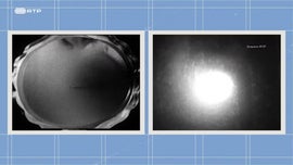 Imagem de O Fim de Lizzie e Outras Histrias - Ana Teresa Pereira