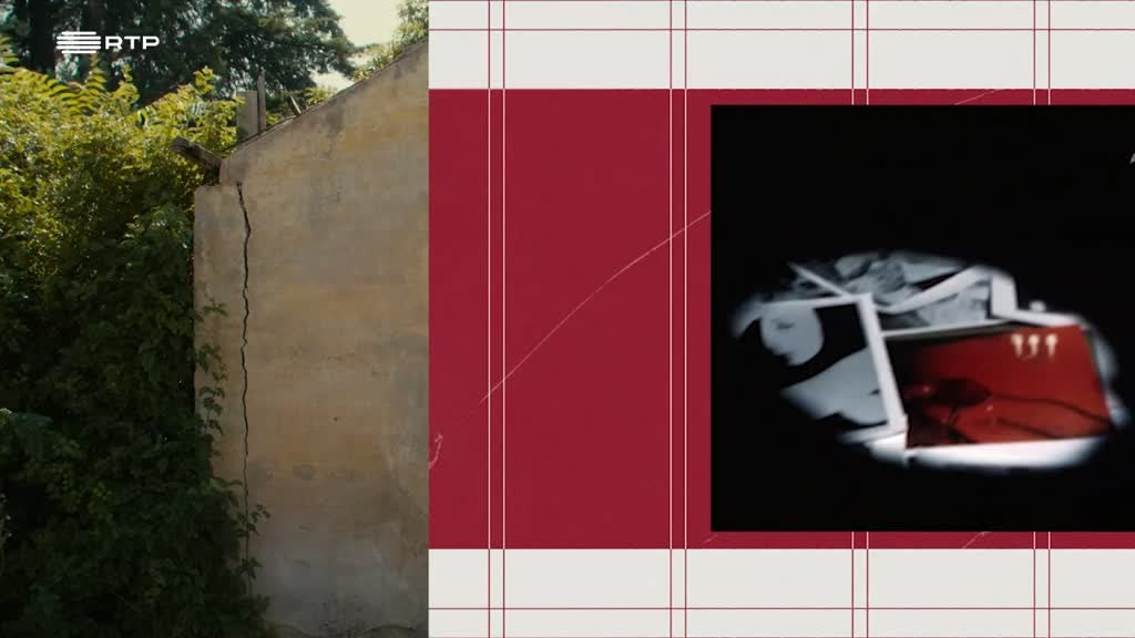 Imagem de A Pequena Biblioteca - Pequenos Delírios Domésticos - Ana Margarida de Carvalho