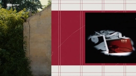 Imagem de Pequenos Del�rios Dom�sticos - Ana Margarida de Carvalho