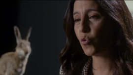 Imagem de Lappin e Lapinova - Virginia Woolf