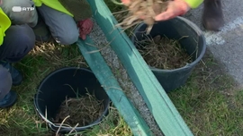 Imagem de Corredores da Vida