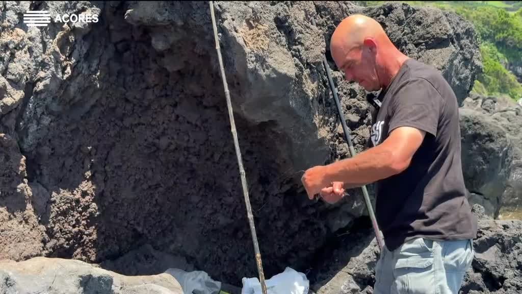 Imagem de Vou à Costa