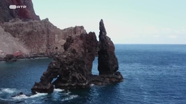 Imagem de Velocidade Furiosa e Lentid�o Maldosa