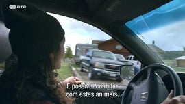 Imagem de Terras de Acolhimento para os Bisontes