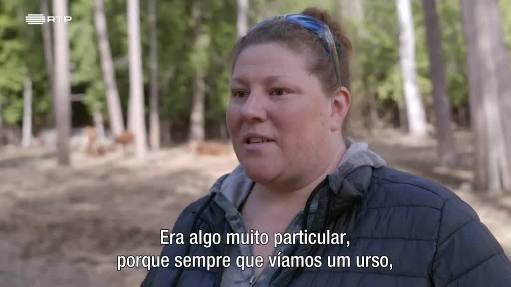 Imagem de À Reconquista das Montanhas Rochosas: D - Corredores para os Ursos-Pardos