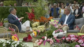 Imagem de Festa da Flor da Madeira