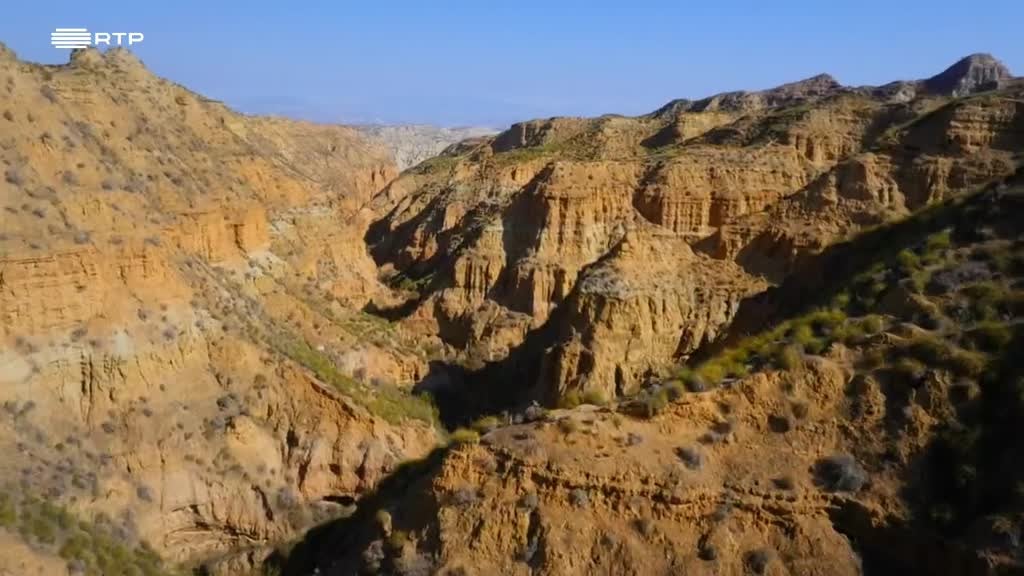 Imagem de Reinos do Sol: A Zona Tropical
