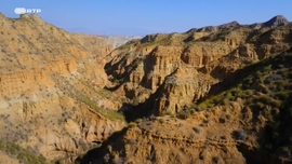 Imagem de Reinos do Sol: A Zona Tropical