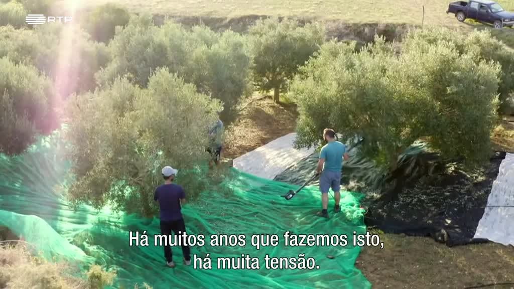 Imagem de Malta - Joia do Mediterrâneo