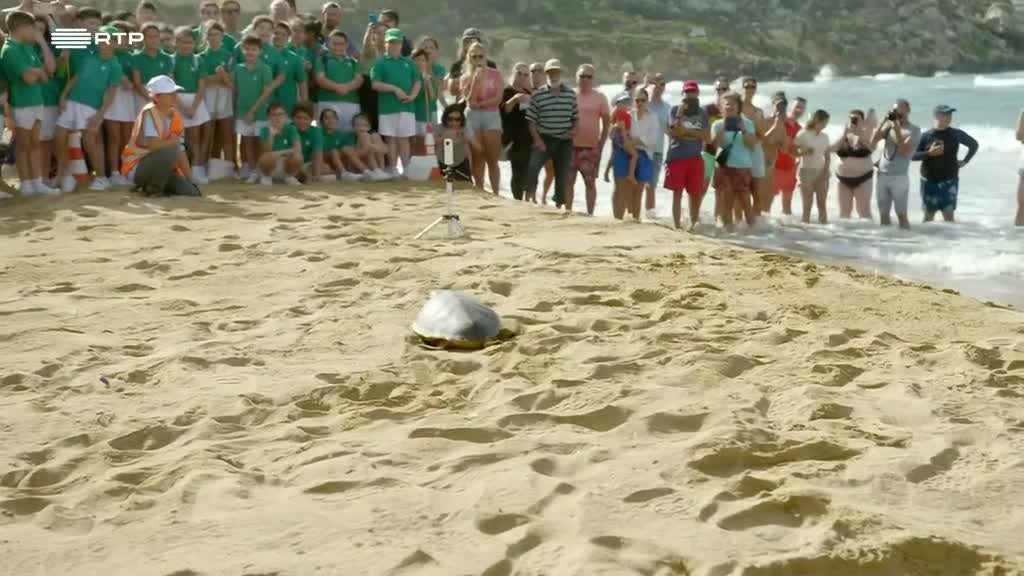 Imagem de Malta - Joia do Mediterrâneo