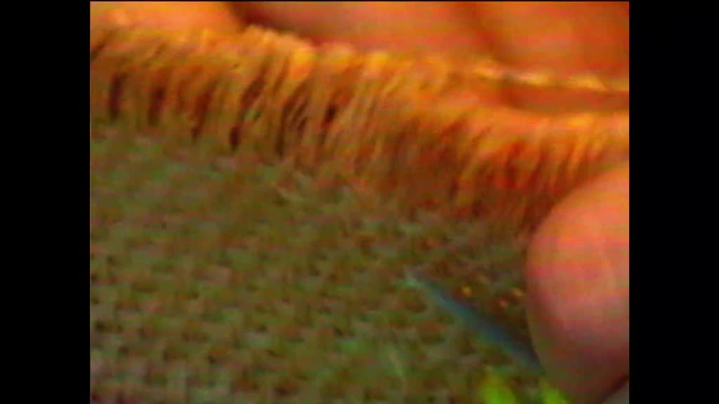 Imagem de Profissionais - Aheneah