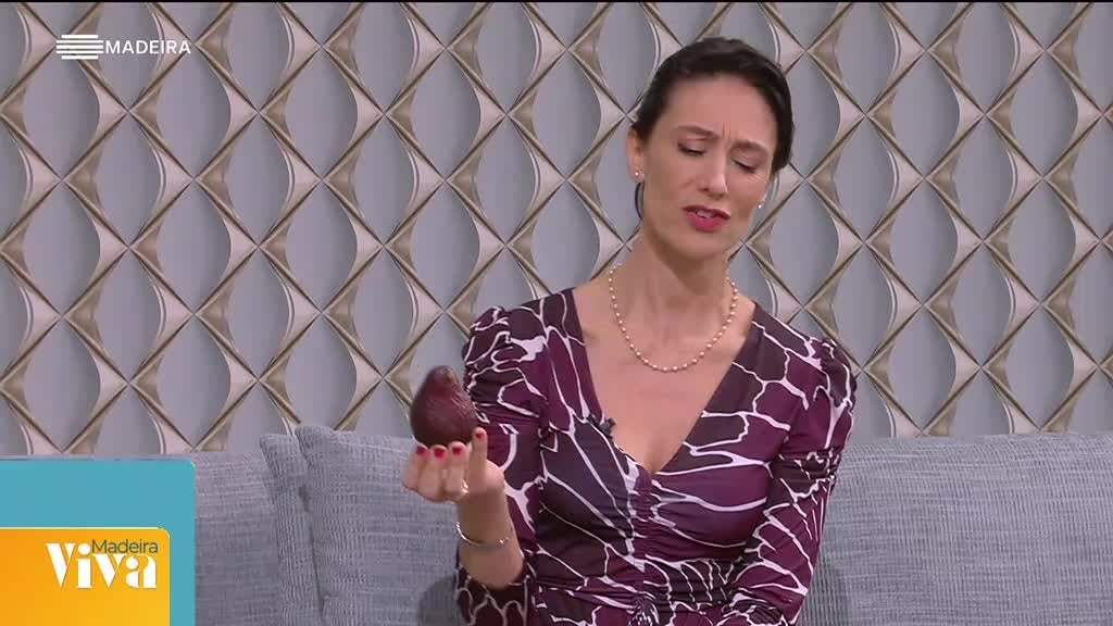 Imagem de Compactos Madeira Viva 2025