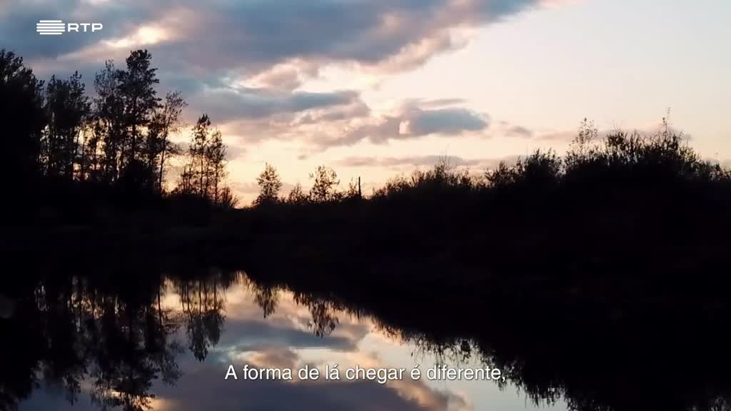 Imagem de Para Além do Cérebro - Experiências de Quase Morte