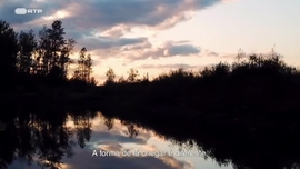 Imagem de Experincias de Quase Morte