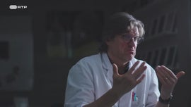 Imagem de Trajetria Evolutiva