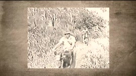 Imagem de As Violaes de Nkomati