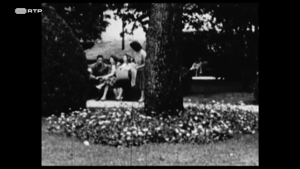 Imagem de Falamos de António Campos