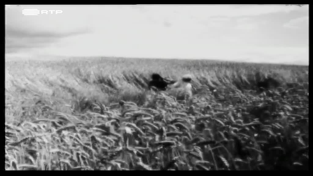 Imagem de Estrada do Êxito: Costa Pereira