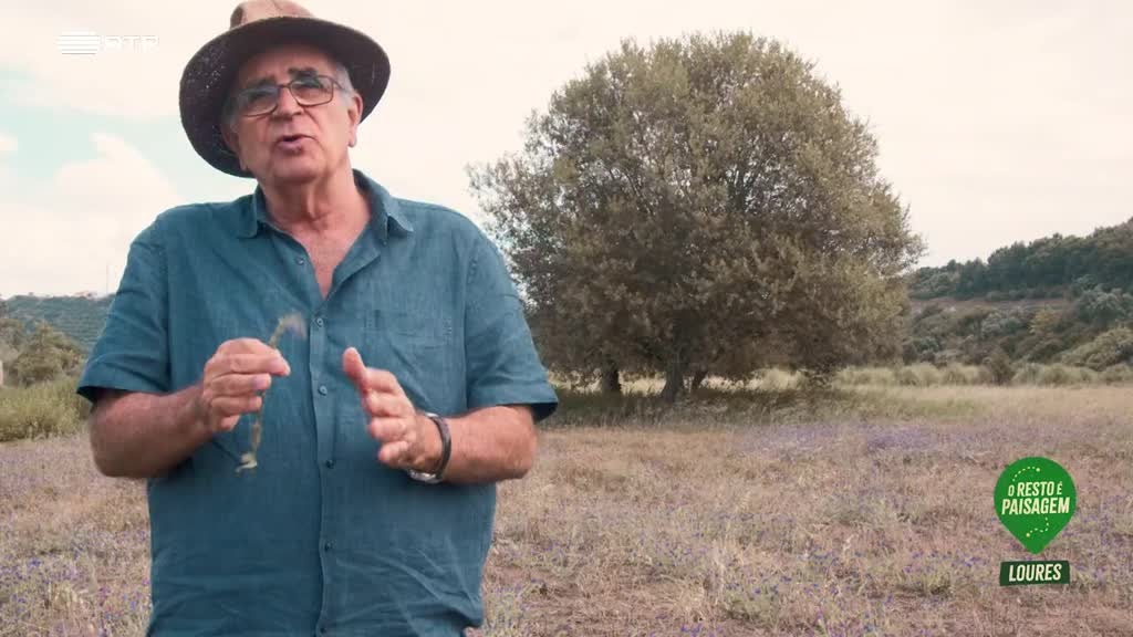 Imagem de O Resto é Paisagem