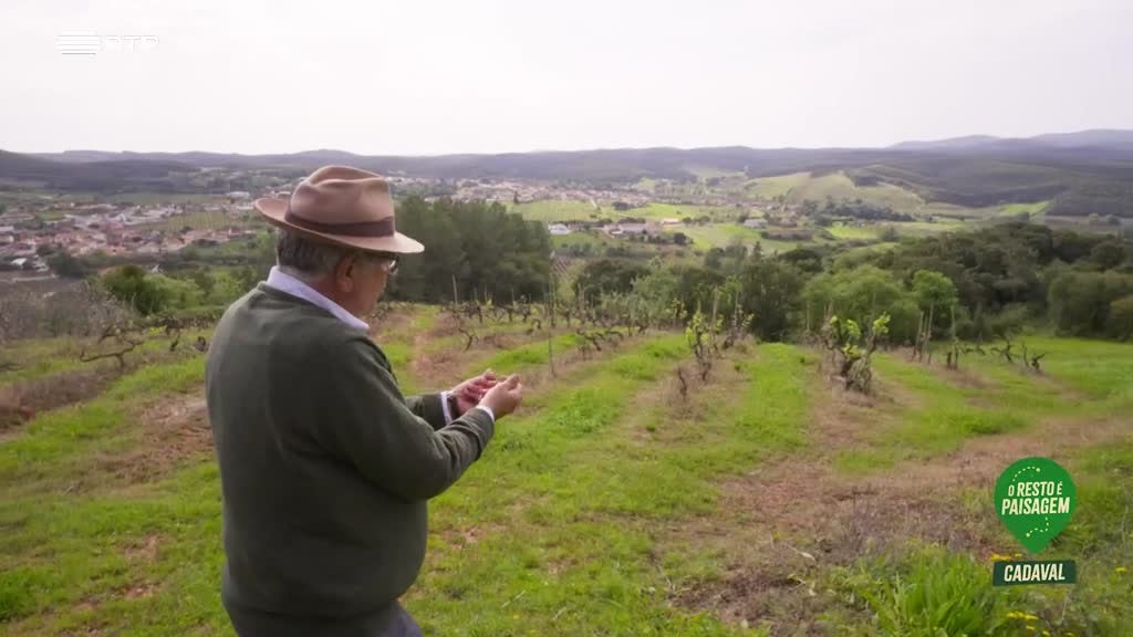 Imagem de O Resto é Paisagem