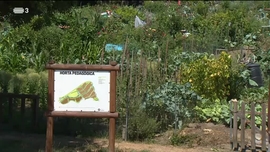 Imagem de Europa  Porta