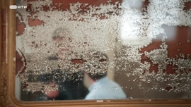 Imagem de 1000 X Camilo