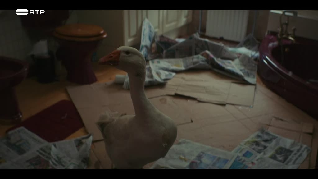 Imagem de Morte Anunciada - Caça aos Gambuzinos