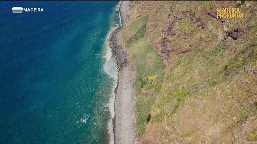 Imagem de Madeira Profunda