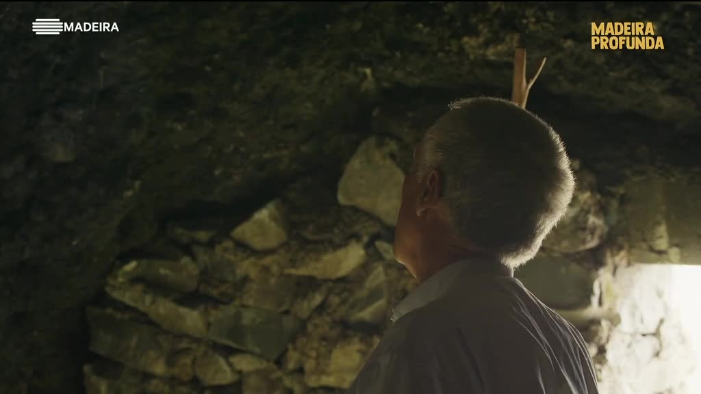 Imagem de Madeira Profunda