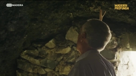 Imagem de Madeira Profunda