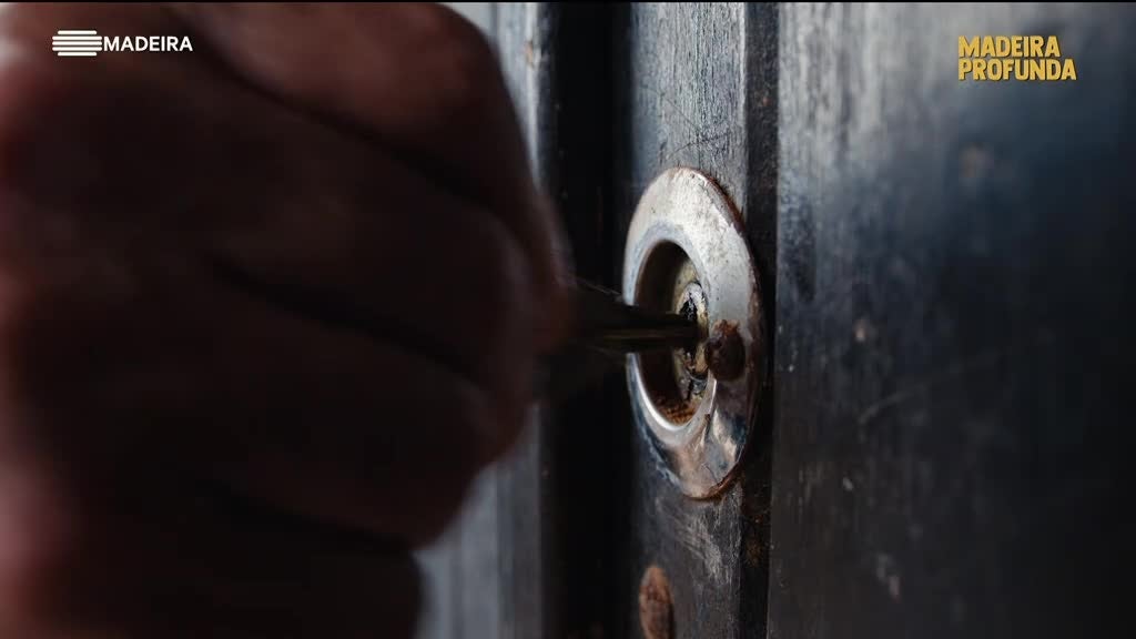 Imagem de Madeira Profunda