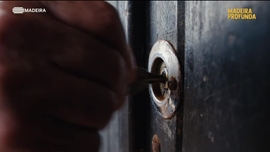 Imagem de Madeira Profunda