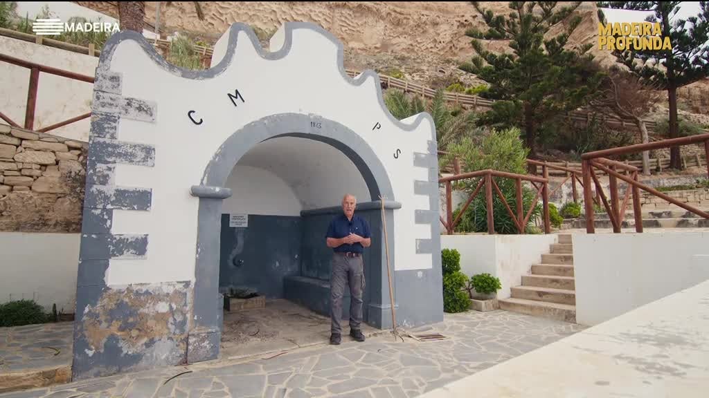 Imagem de Madeira Profunda