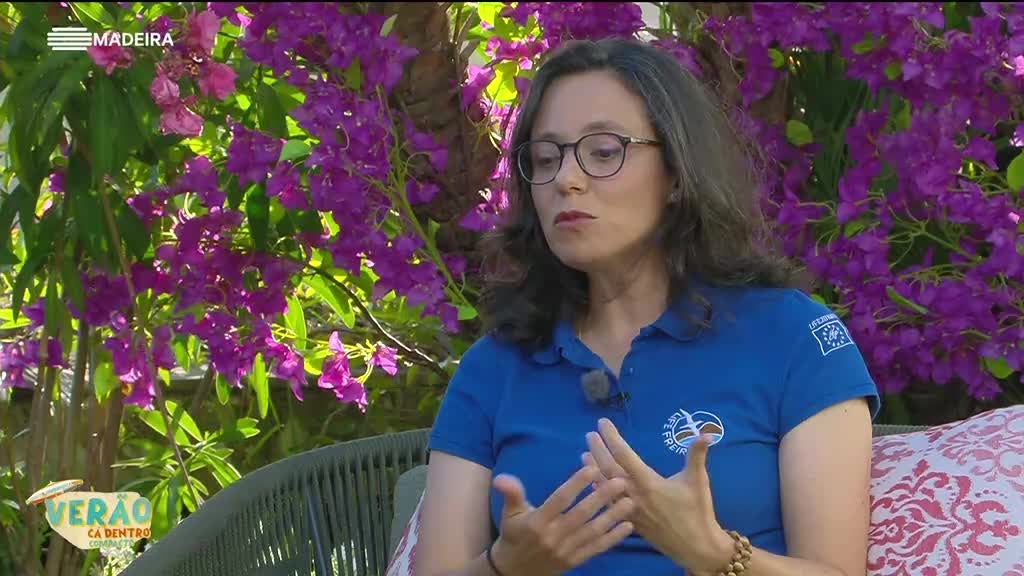 Imagem de Compactos Verão Cá Dentro 2025