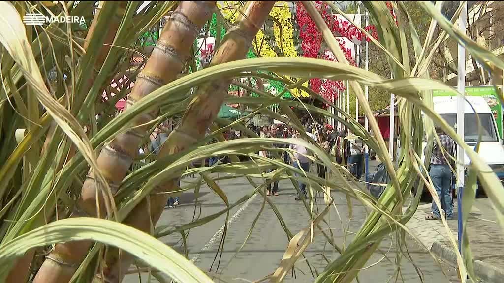 Imagem de Retratos dos Concelhos