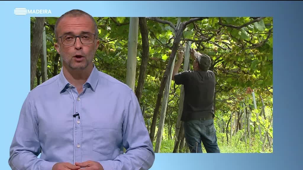 Imagem de Retratos dos Concelhos