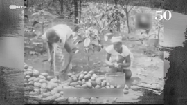 Imagem de Concei��o Lima / A Devolu��o das Ilhas