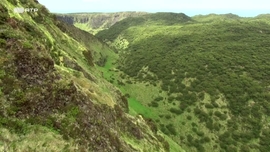 Imagem de Parques Naturais dos Aores - 10 Anos