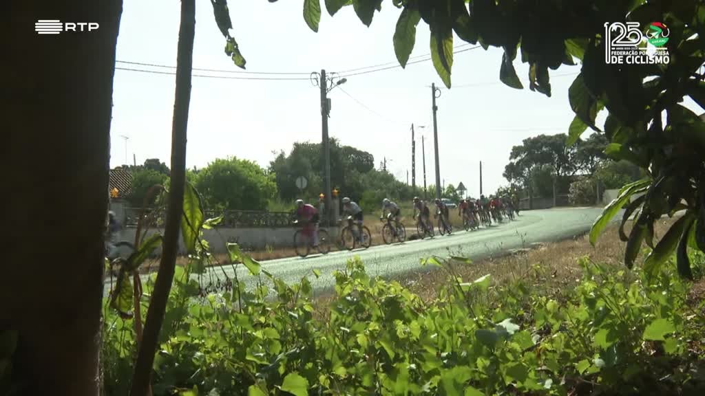 Imagem de Campeonato Nacional de Ciclismo de Estra - Campeonato Nacional de Fundo Feminino