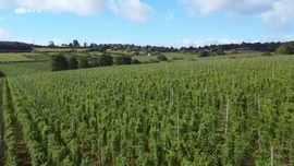 Imagem de Sussex, a Joia de Inglaterra