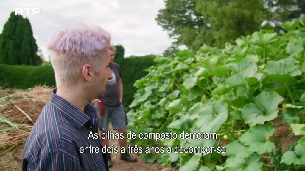 Imagem de Sussex, a Joia de Inglaterra